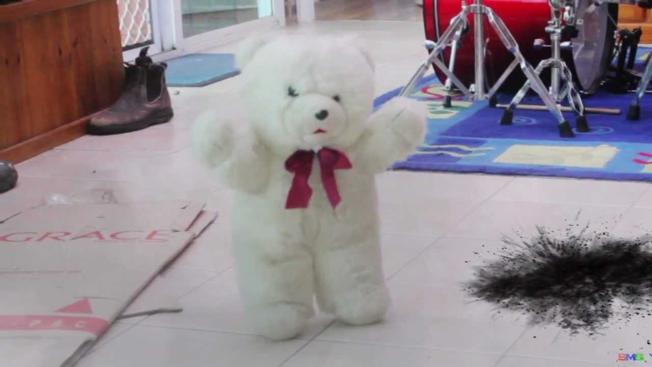 Teddy Bear Test Youtube