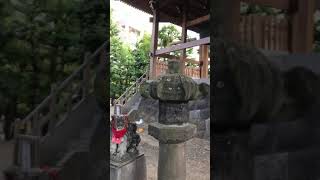 浅草寺　弁天堂　蝉の声