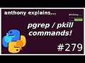 pgrep / pkill commands (beginner - intermediate) anthony explains #279