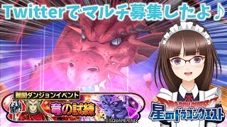 #142【星のドラゴンクエスト】難関ダンジョンイベント 『竜の試練』 にみんなと挑戦したよ♪【星ドラ マルチ Twitter募集】