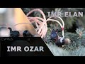 IMR Audio Elan & Ozar IEMs - The Lion & The Tiger