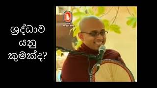 ශ්‍රද්ධාව යනු කුමක්ද? - Noble Dhamma