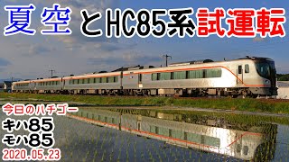 【夏空とHC85系！】これからの飛騨路を担うスター「HC85系D1編成」の試運転を追っかけ！～今日のハチゴー20200524～