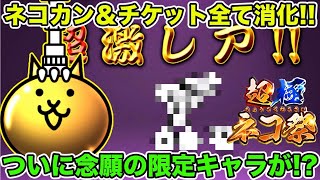 【スマホ版サブ垢実況】地道に貯めたネコカンとレアチケットを大放出！！超極ネコ祭でガチャったらまさかの限定キャラが！？【にゃんこ大戦争】