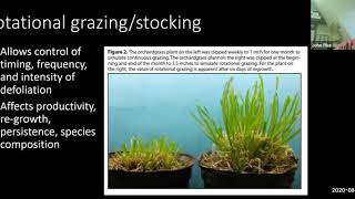 Forage and Pasture Management By John Fike