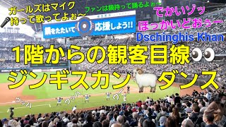 話題沸騰のジンギスカンダンス 今年はこれで大ヒットだぁー‼️ ファイターズガール エスコンフィールド北海道 2023.5.6