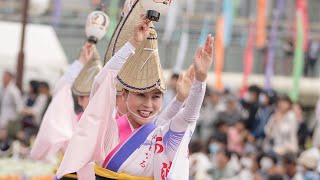 はなはるフェスタ2019・阿波鳴連_20190421_本場徳島阿波おどり Awaodori in Tokushima Japan