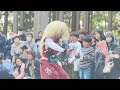 佐渡新穂山王祭。4月12日から3日間にわたって800年の歴史を誇る山王まつりが執り行われました。鬼太鼓等が奉納され、大勢の方で賑わいました。