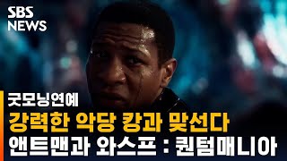 강력한 악당 캉과 맞선다…마블 신작 '앤트맨과 와스프' / SBS / 굿모닝연예