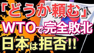 【海外の反応】隣国が敗北！日本にゆるぎない議論を提案する→日本「え？」【にほんのチカラ】