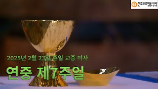 2025년 2월 23일 연중 제7주일 교중미사