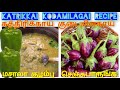 kathrikkai kodamilakai masala gravy recipe in tamil healthy benefits ramajayam r kitchen best food