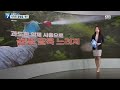 친절한 뉴스 사라진 꿀벌들 왜 kbs 220322