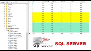 How to Copy rows from the same table and update column based on condition in SQL Server