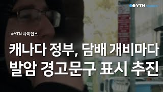 캐나다 정부, 담배 개비마다 발암 경고문구 표시 추진 / YTN 사이언스