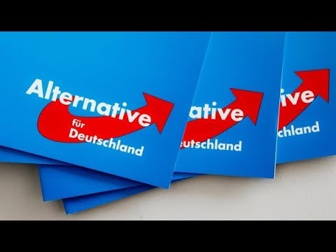 Was Will Die AfD? - Das Wahlprogramm In 9 Min - YouTube