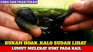 BUKAN HOAK TRIK JITU  LUMUT MELEKAT PADA RANGKAIAN PANCING NILA UMPAN LUMUT 1 KAIL