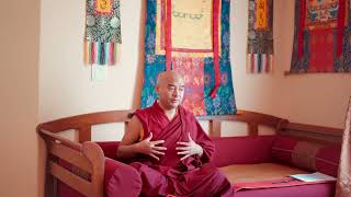 Interview with MINGYUR RINPOCHE!