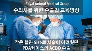 RAMG - 혈관 사이즈가 작아 시술이 어려웠던 PDA환자의 ACDO