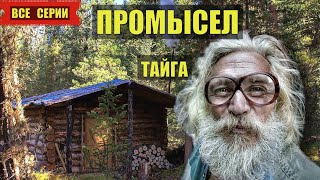 ПРОМЫСЕЛ В ГЛУХОЙ ТАЙГЕ все серии СЕРИАЛ ДОМ в ЛЕСУ ОТШЕЛЬНИКИ В ТАЙГЕ ИСТОРИИ из ЖИЗНИ АУДИОКНИГА