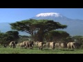African Music / African Conga Drums / Traditional African Drum Music