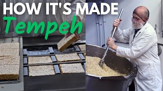 How Tempeh is Made -  Factory Tour: From Soybeans to Scrumptious Pizza!