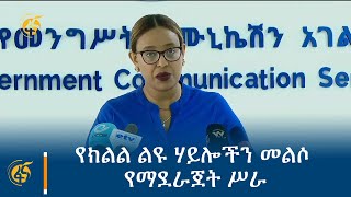 የክልል ልዩ ሃይሎችን መልሶ የማደራጀት ሥራ