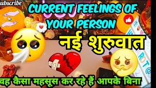 वह कैसा महसूस कर रहे हैं 💖Current feelings of your person🔮Tarot Card Reading In Hindi Today Timeless