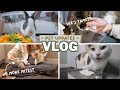 I'M BACK! Spend the Day with my Pets! | vlog