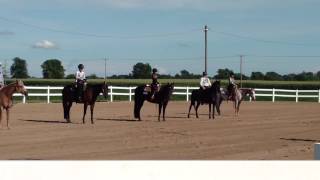 Ava Champion Western Pleasure Class Boone County 4H Fair