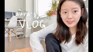 纽约独居vlog#6 带猫咪打疫苗 自制龙虾卷 日式肥牛饭 一些工作近况