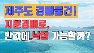 제주도 서귀포시 지분경매! 반값에 취득하여 수익을 올리는게 가능할까?! [부동산 재테크]