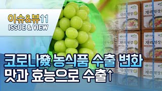 [코로나發 농식품 수출 변화] ①위기에 강한 K-Food…수출 키워드는 '맛+효능' / 머니투데이방송 (뉴스)