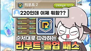 [메이플 리부트] 리부트가 처음이야? 리린이를 위한! 하이퍼버닝 리부트 총합 가이드 (뉴비 육성 가이드 ,템셋팅, 보스, 드메템)