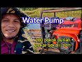 Small but power... a worthwhile water pump for small plantations