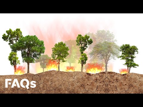 What states do prescribed burns?