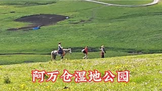 阿万仓湿地公园  甘南行最美的风景 2024.6.24