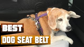 Best Dog Seat Belt In 2024 - Top 10 Dog Seat Belts Review