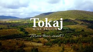 Tokaj - More than sweet!