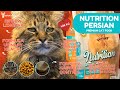 Review Dry Food Premium Nutrition Persian Premium Cat Food Urinary Health & Hairball Control #114