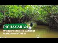 Pichavaram Mangrove Forest I World's Second Largest Forest Pondicherry I Anu I Her Zindagi