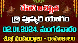 రేపటి విశిష్టత త్రి పుష్కర యోగం 02-01-2024శుభ ముహుర్తాలు -రాహు కాలం  | Red Tv Bhakthi