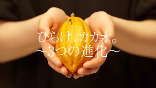 ひらけ、カカオ。～３つの進化～