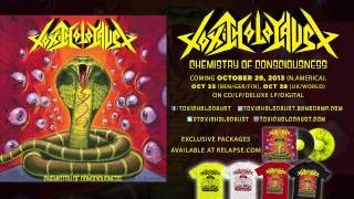 TOXIC HOLOCAUST - \