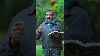 பயப்படாதே இயேசு உன்னை வழி நடத்துவார்- Mohan C Lazarus Vincent Selvakumar Walk With Jesus Redeems