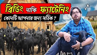 Breeding নাকি  Fattening ? আপনার ব্যবসার জন্য কোনটি সঠিক? |  Goat Farm | Desi Goat farm |