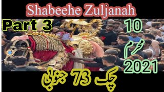 Shabeehe Zuljanah | 10 Muharram 2021-2022 | Part 3-3 | Matamdari Chak 73 SB Sargodha