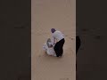 Another crazy woman in Sahara