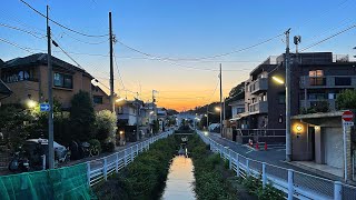 Tokyo Walk - Sakura-Shinmachi to Futako Tamagawa Sunset Walk 桜新町から夕焼け散歩