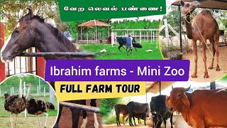 Ibrahim Farms | Mini Zoo | Pudukkottai #zoo #kidsvideo #tamilbrothersvlog